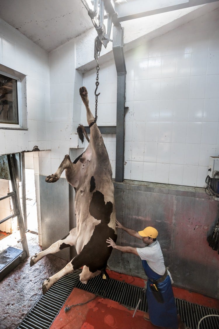 The shocking truth about factory farming Medium