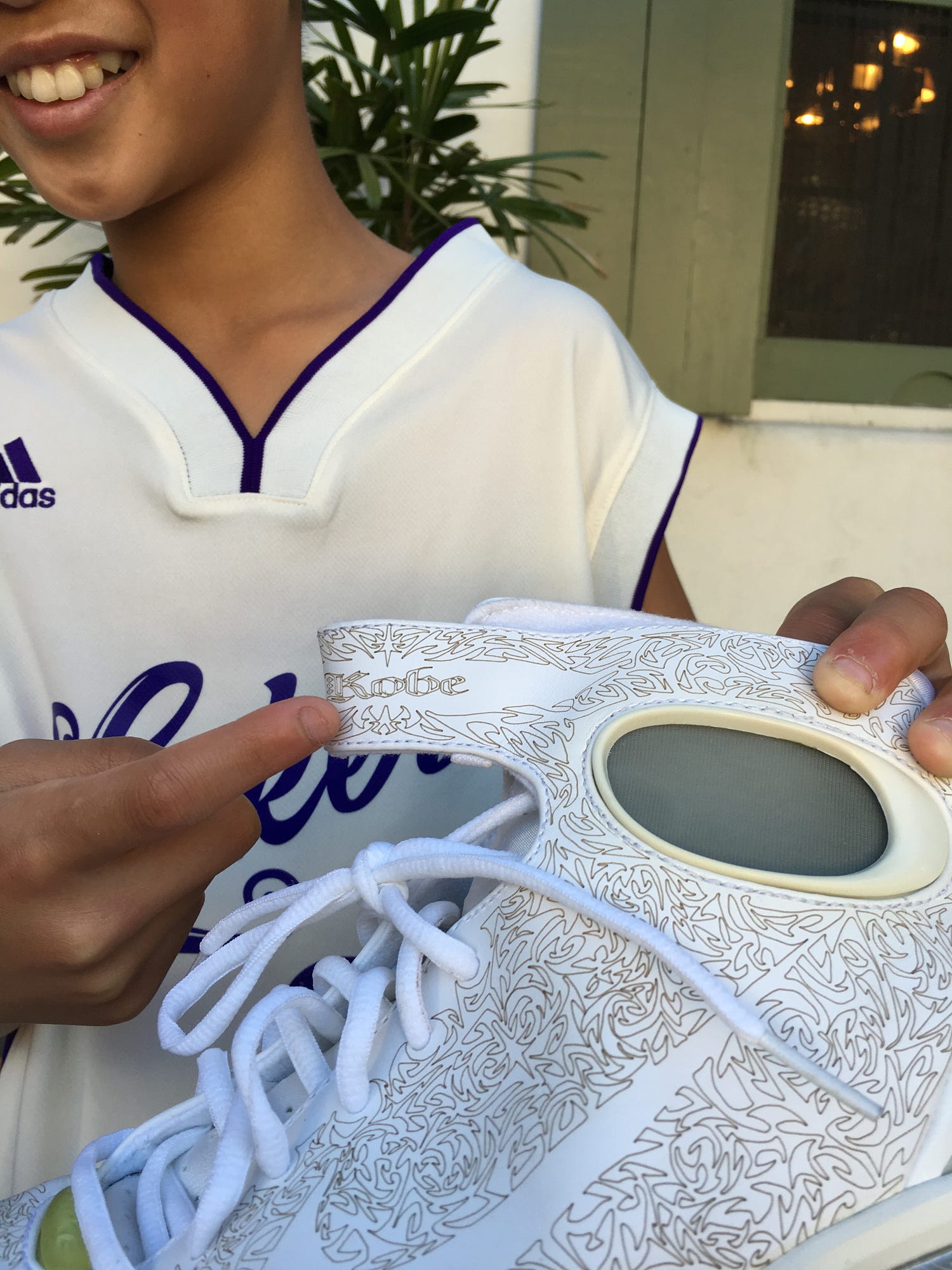 nike Zoom Kobe Dream Season IV Low Rood