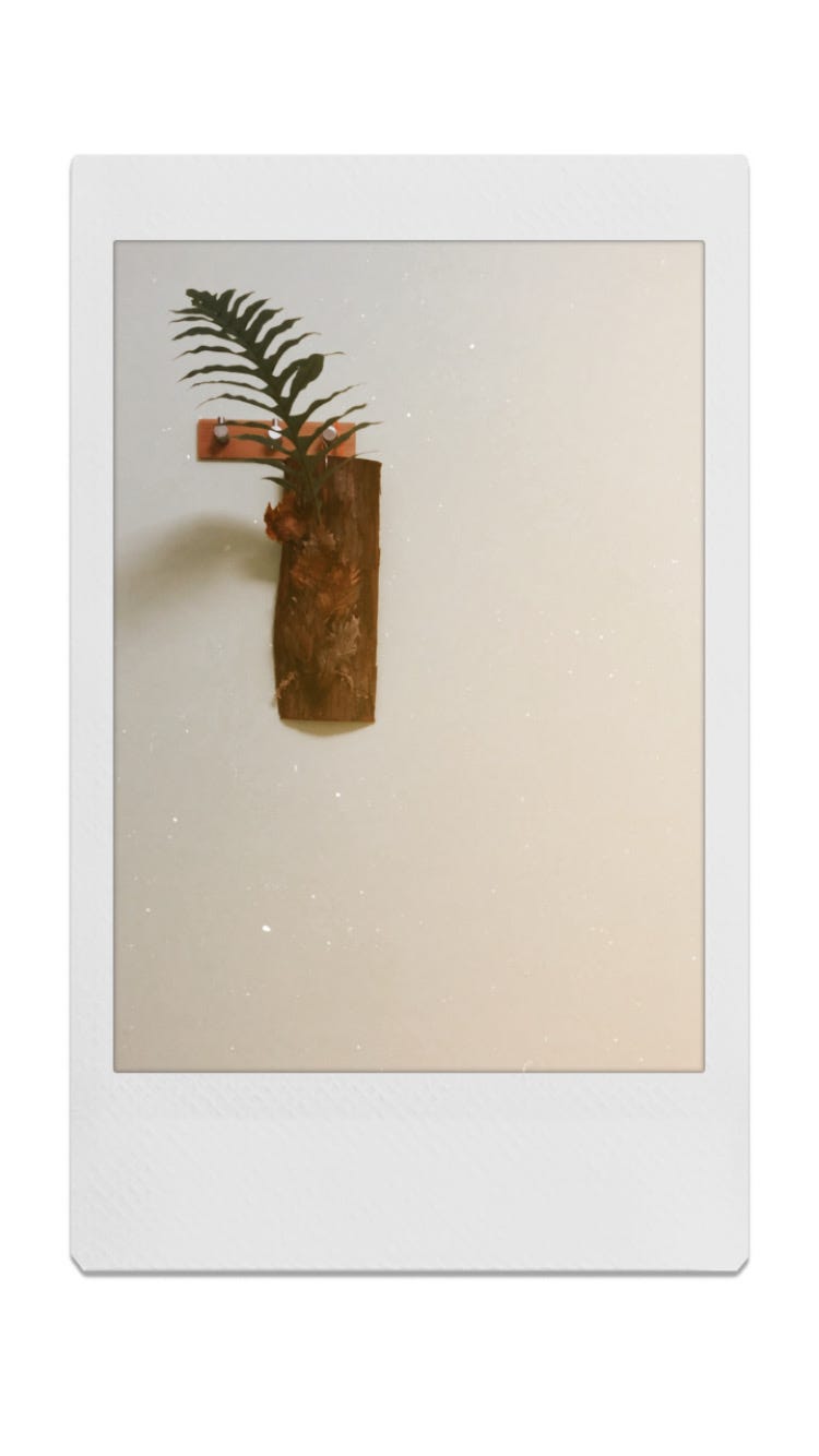 notion image