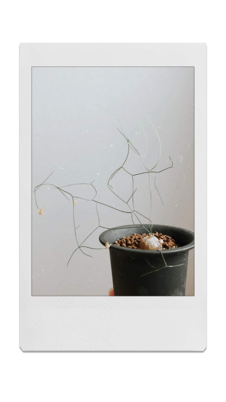 notion image