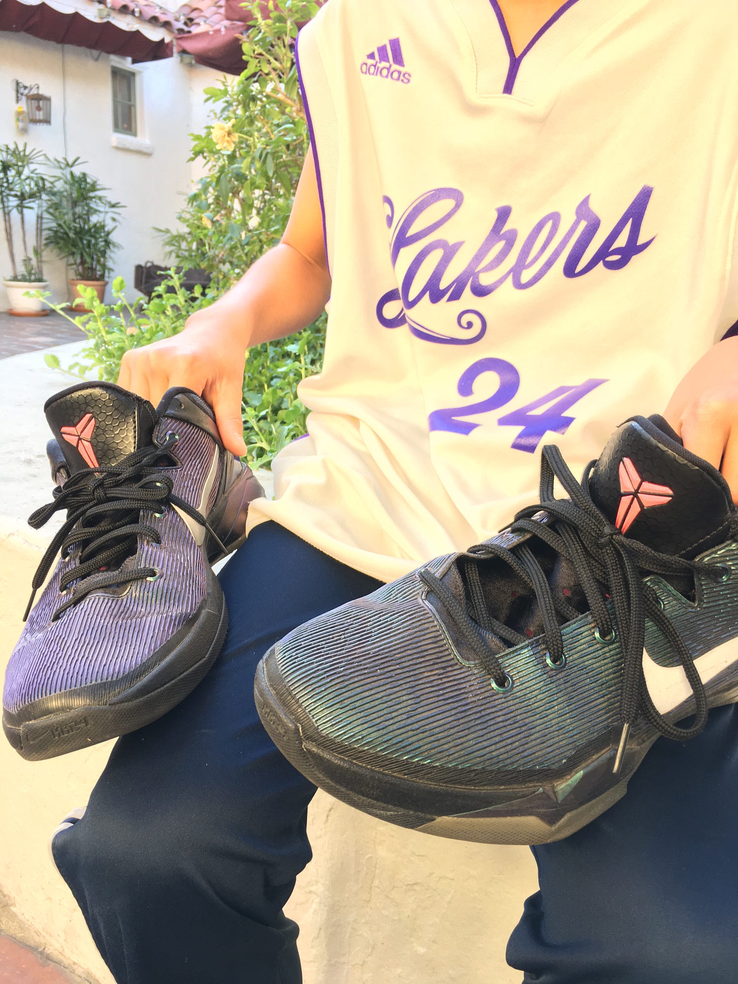 nike Zoom Kobe Dream Season IV Low Rood