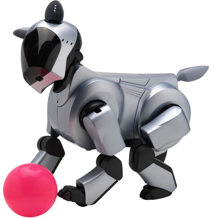 american girl robot dog