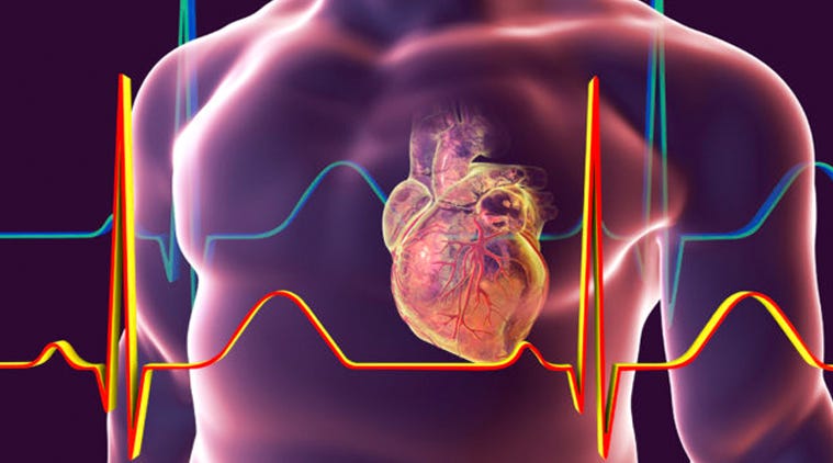 Mitral Valve replacement. The mitral valve is located between the… | by