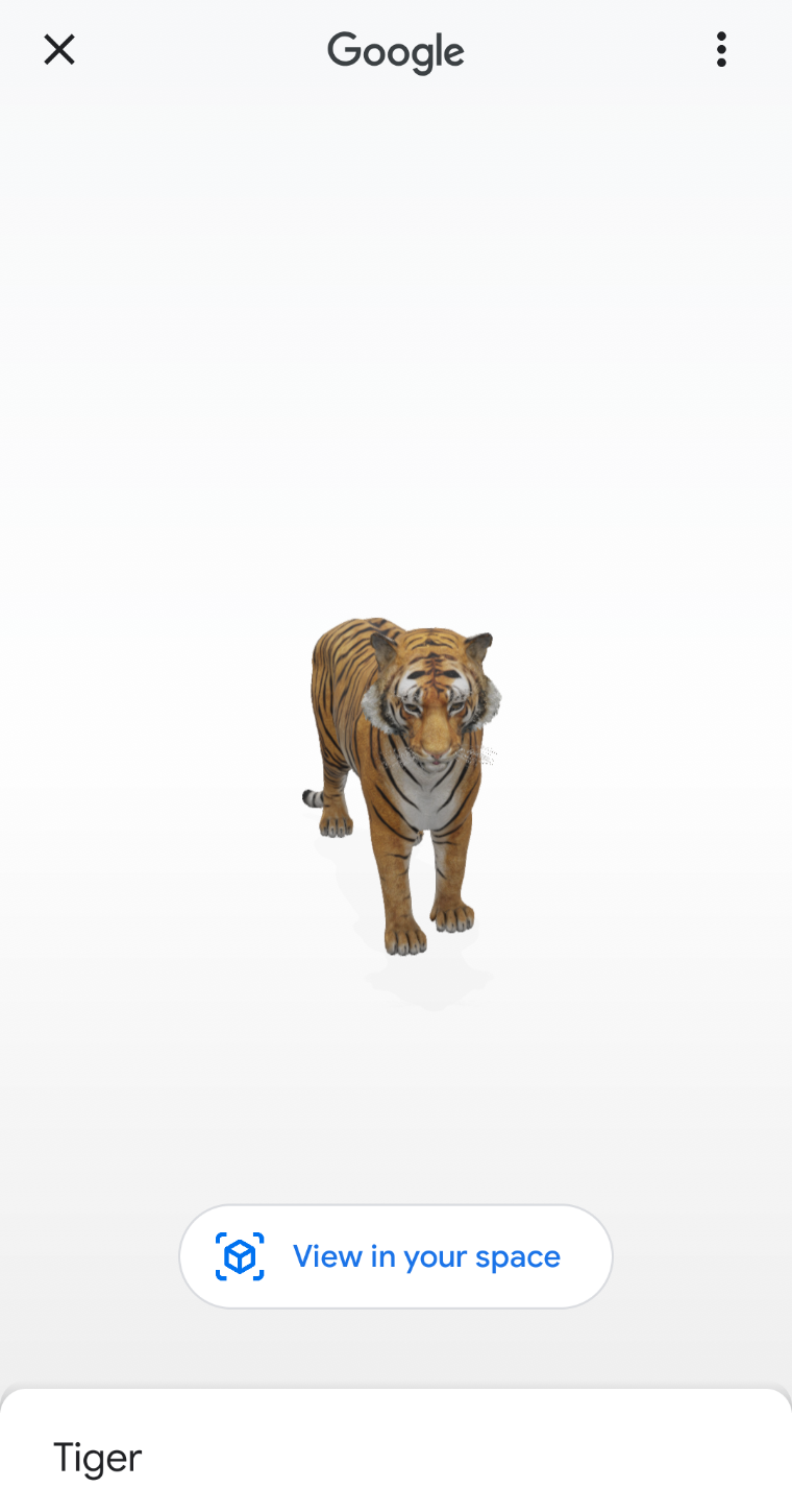 Featured image of post 3D Models Tiger View In 3D / Find professional tiger 3d models for any 3d design projects like virtual reality (vr), augmented reality (ar), games, 3d visualization or animation.