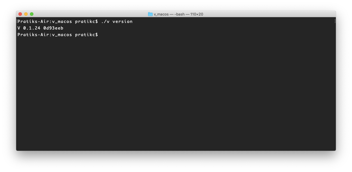 V prints its version number on the Terminal