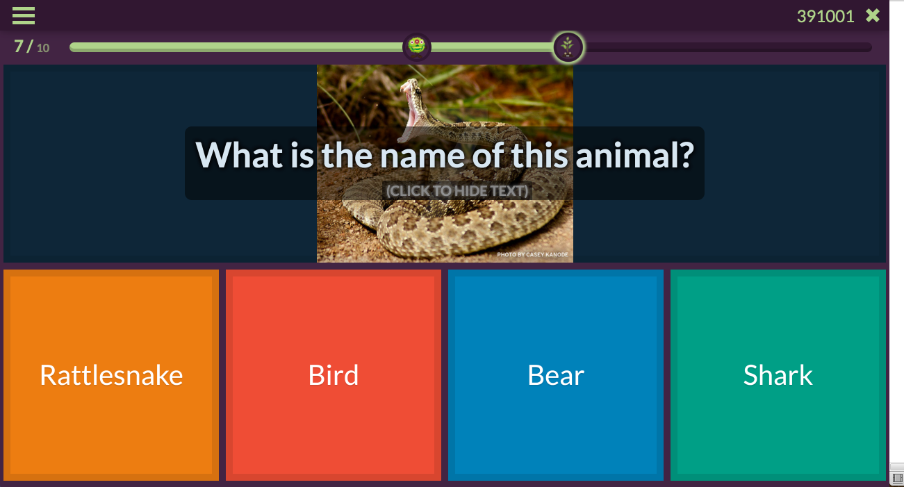 New Question Viewer on Quizizz Game - An upgrade for the questions with
