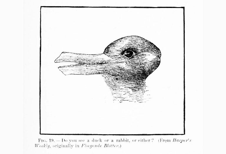 Duck or Rabbit? — embracing ambiguity for visual innovation