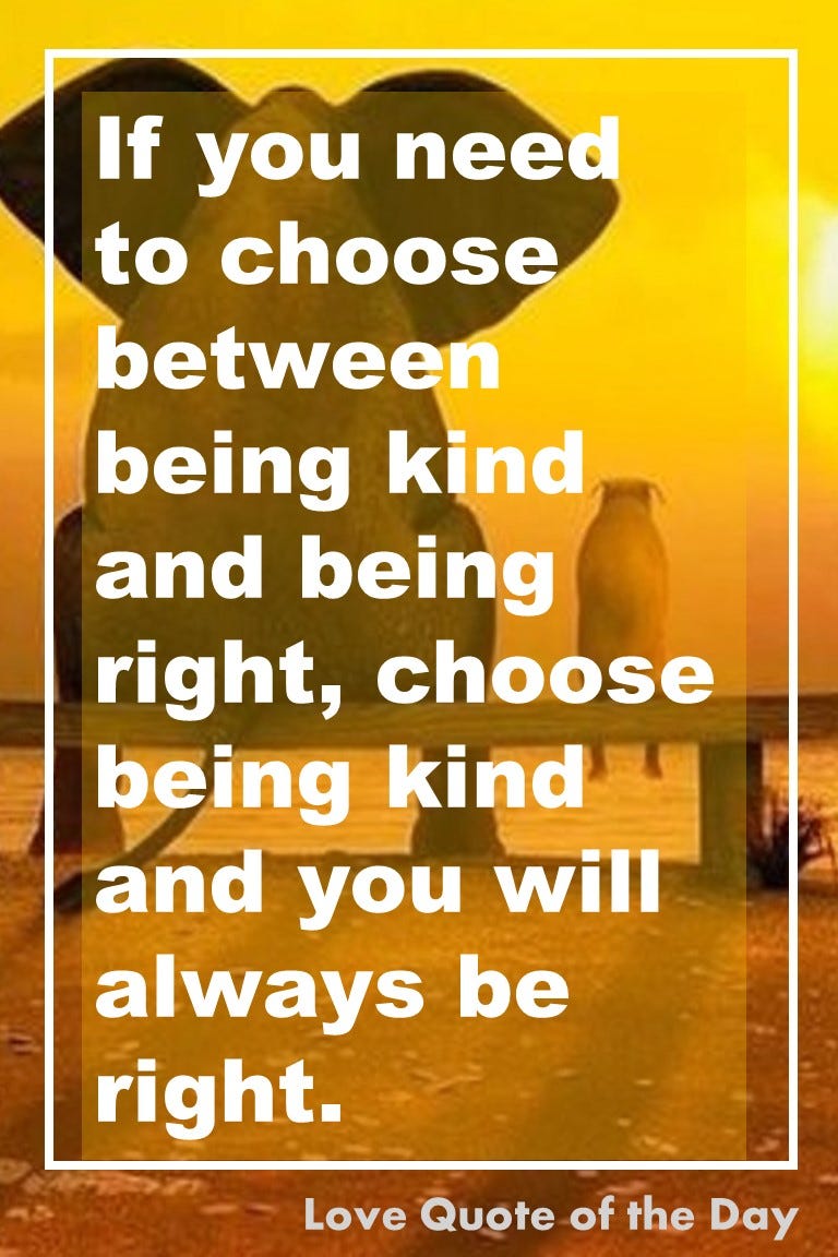 Choose to Be Kind. And you will always be right. | by John Kremer