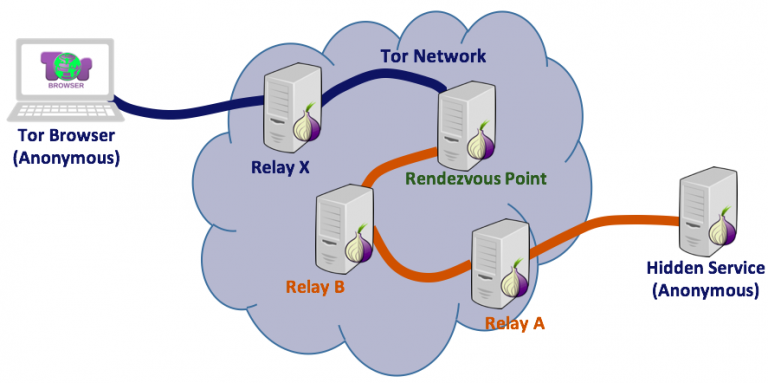 Tor top websites