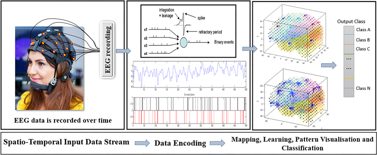 deep learning in spiking neural networks