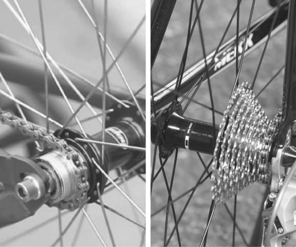 Gear Cycle and a Gearless Cycle 