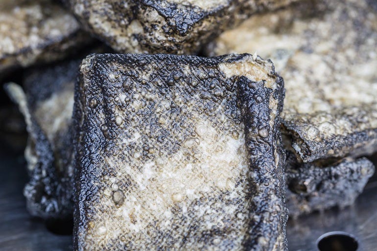 Does Tofu Go Bad You Need To Read This No Meal No Health