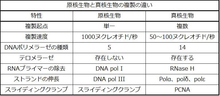 真 核 生物 と 原核 生物 の 違い