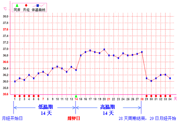 生理 体温