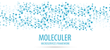 Moleculer