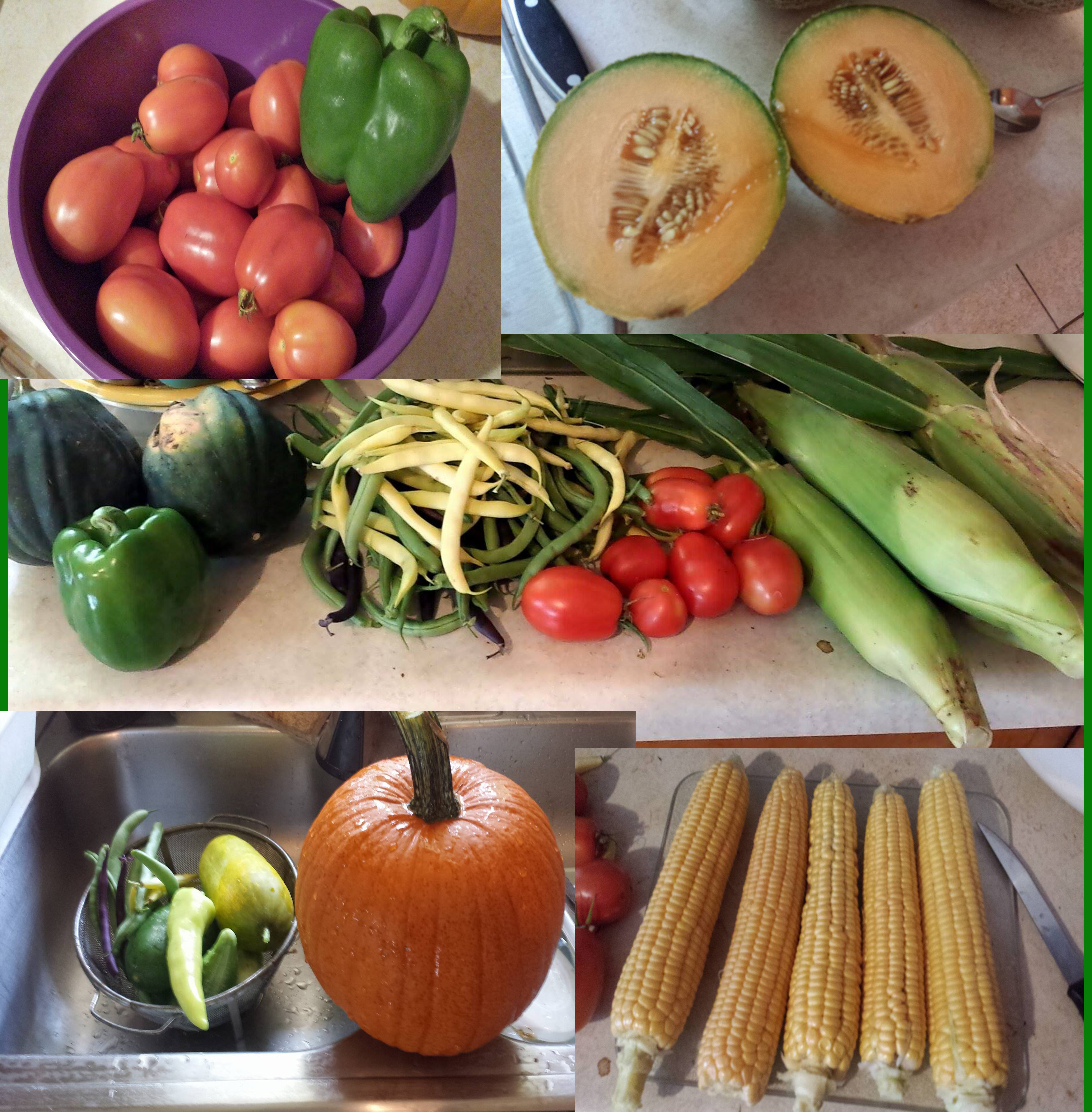 Independence Gardening Self Sufficiency In Your Backyard