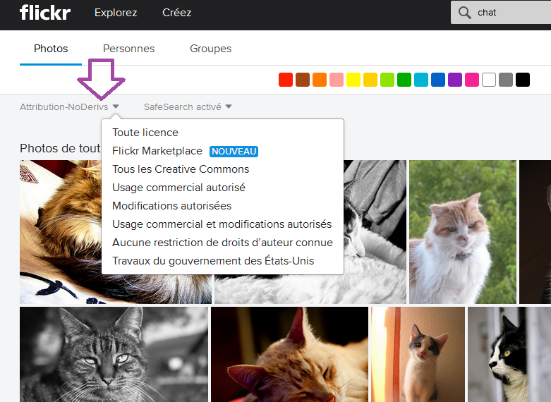 Comment Trouver Des Images Libres De Droit Pour Votre Site Web