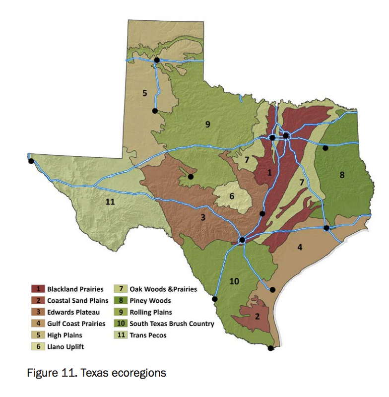 Status Update and Trends of Texas Rural Working Lands by Texas A&M