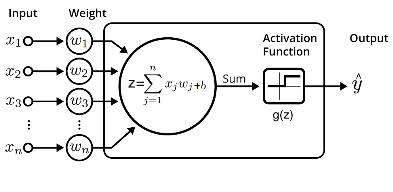 Back Propagation The Easy Way Part 1 By Ziad Salloum Towards Data Science