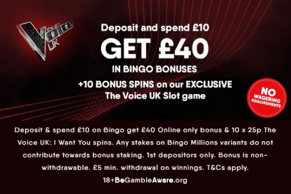 Bingo Bingo