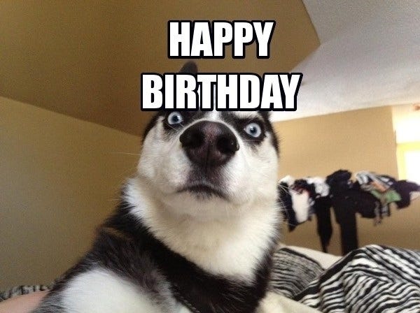Featured image of post Belated Birthday Meme Dog Share a gif and browse these related gif searches