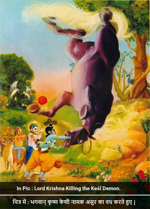 Different Opinions On Sacrificial Activity Clarified By Bhagavad Gita Daily Medium Different Opinions On Sacrificial Activity Clarified By Bhagavad Gita Daily Medium