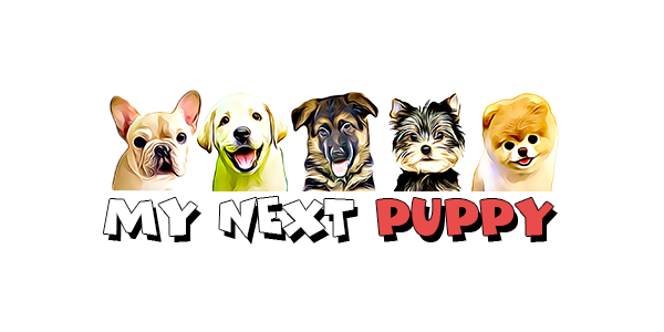 my next puppy near me