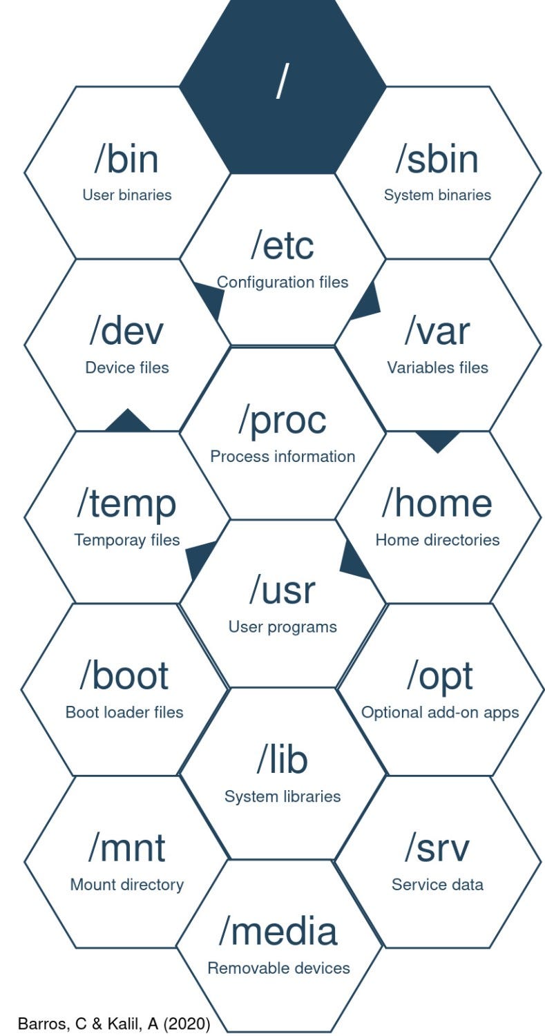 Ls L Command Understanding What Happens In The Shell By Carlos Barros Medium