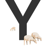 Y
