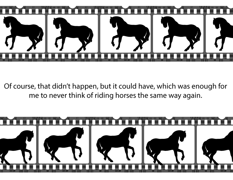 My Pet Monkey Ross Geller S Marcel Was A Saint Next By Sadies Ceng Substance