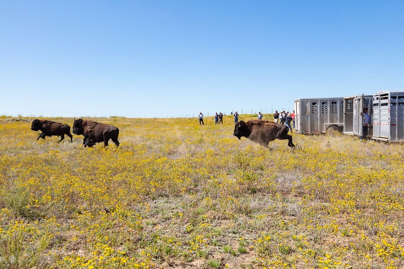Jacob W. Frank/NPS