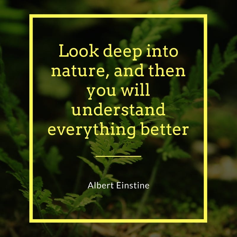 Beautiful Quotes On Nature Morning Sunset And Rain
