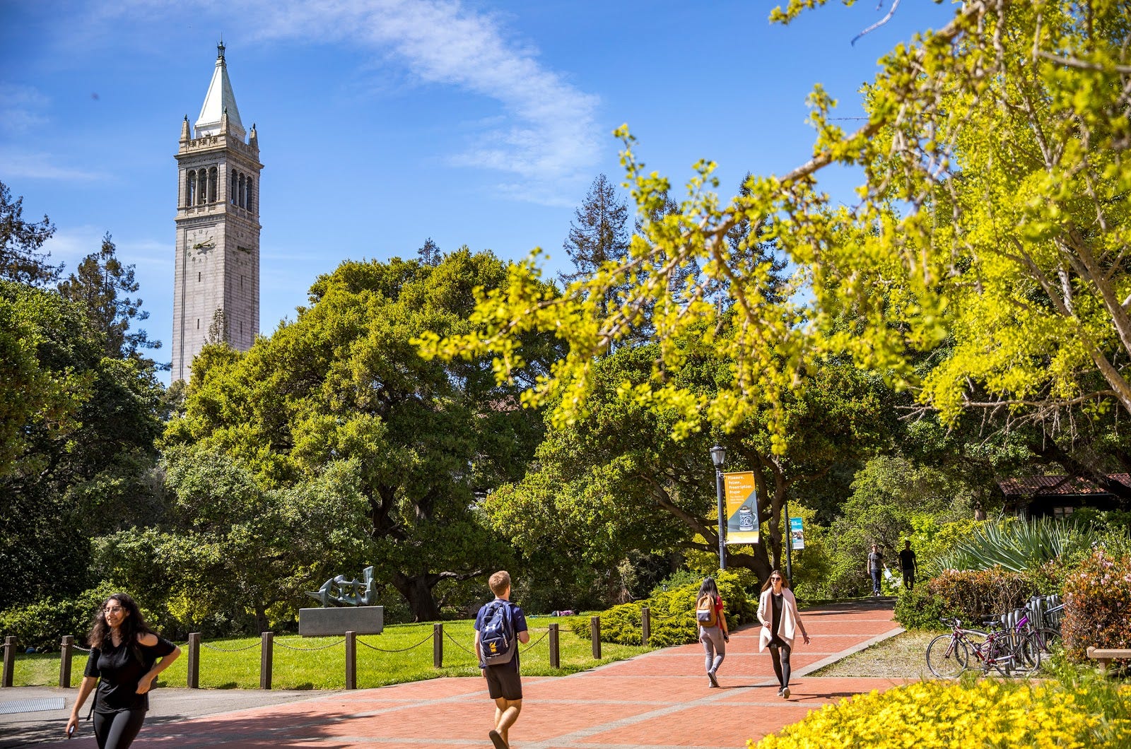 Why I Chose UC Berkeley. A world of opportunities | by UC Berkeley  Admissions | Medium
