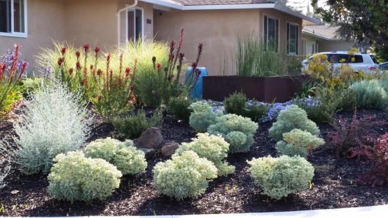 15 Sustainable Gardening Ideas That Anyone Can Do By Kane Thomas The Sustainability X Magazine
