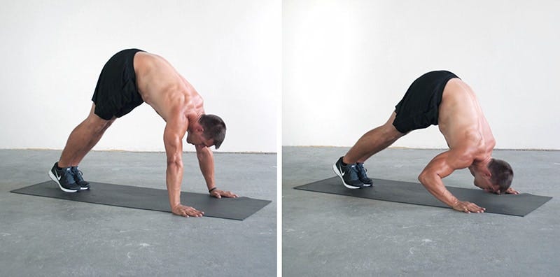 51 Push Up Variation Detailed List For Every Fitness Level By Syed Asif Sultan Superhuman Fitness Medium 51 Push Up Variation Detailed List For Every Fitness Level By Syed Asif Sultan Superhuman Fitness Medium