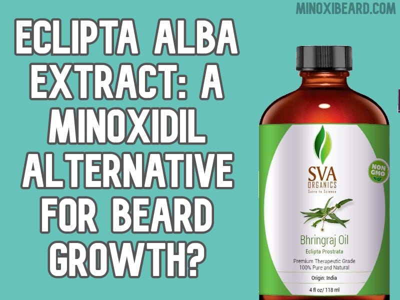 Eclipta Alba Extract: A Minoxidil Alternative For Beard ...