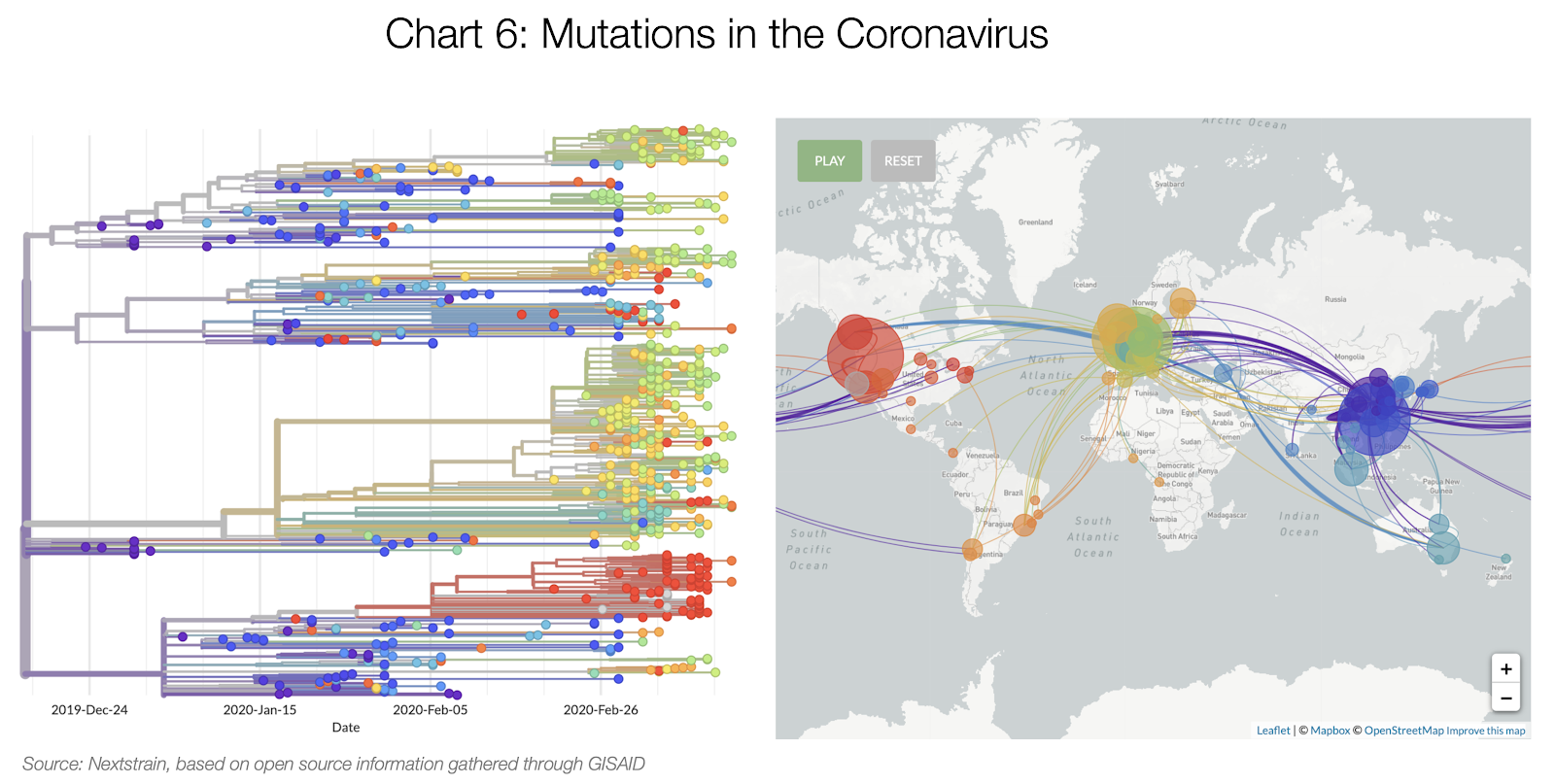 Graf 6: Mutace koronaviru.