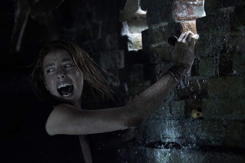 Sinopsis Film Crawl, Sensasi Ketegangan Antara Alam dan  