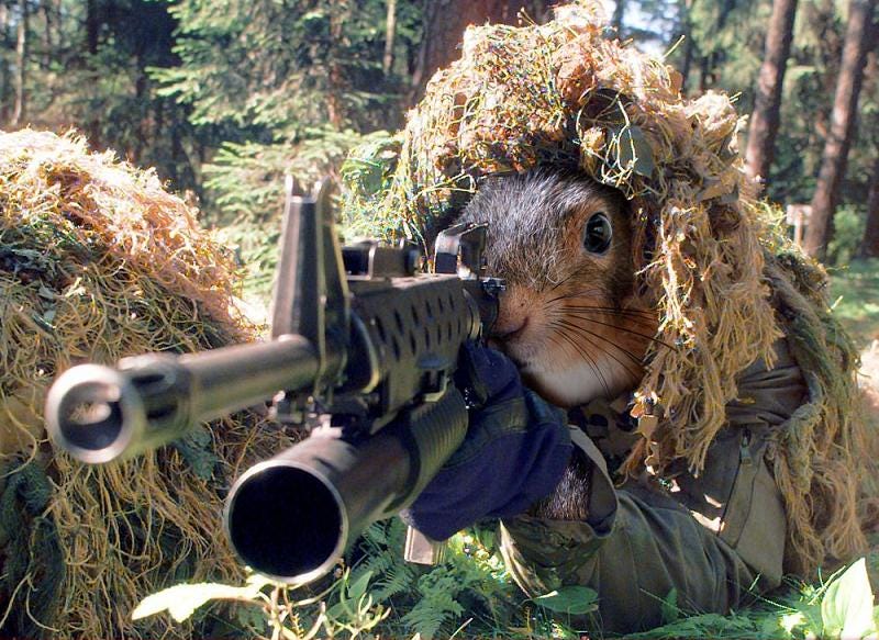 To kill squirrel with a Pellet Gun select pellet carefully by Kill