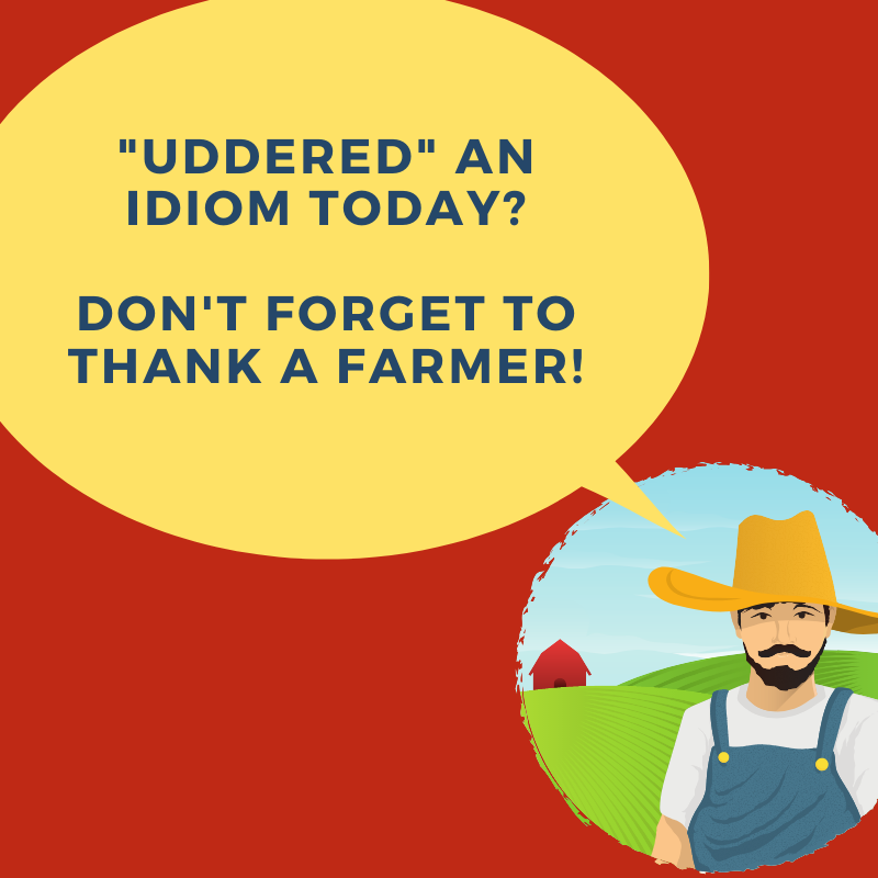 4 Every Day Idioms Inspired By Farm Life By Farmer Georgie Medium 4 Every Day Idioms Inspired By Farm Life By Farmer Georgie Medium