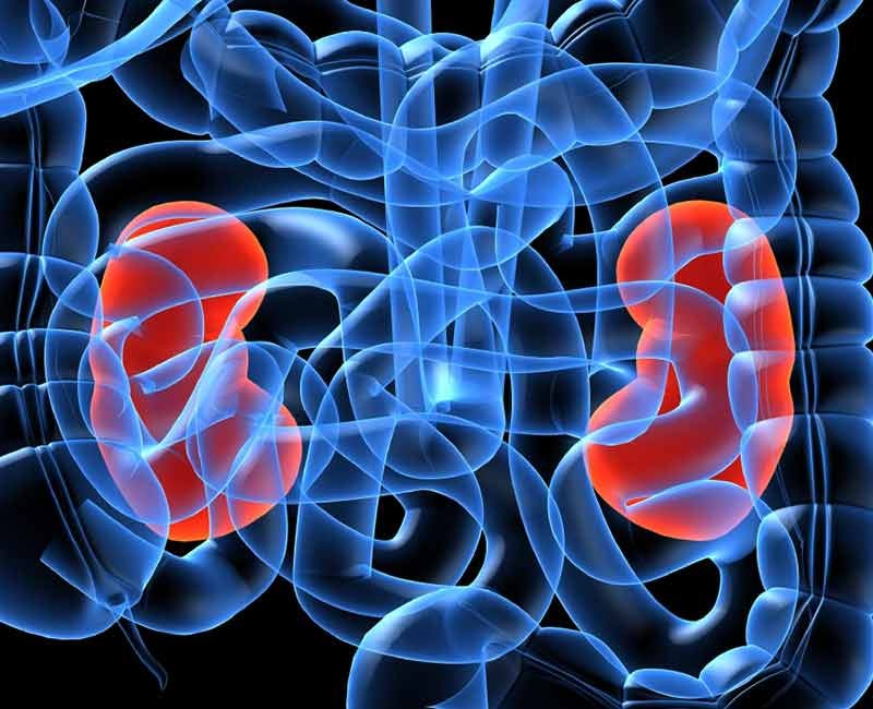 pepcid effect on kidneys