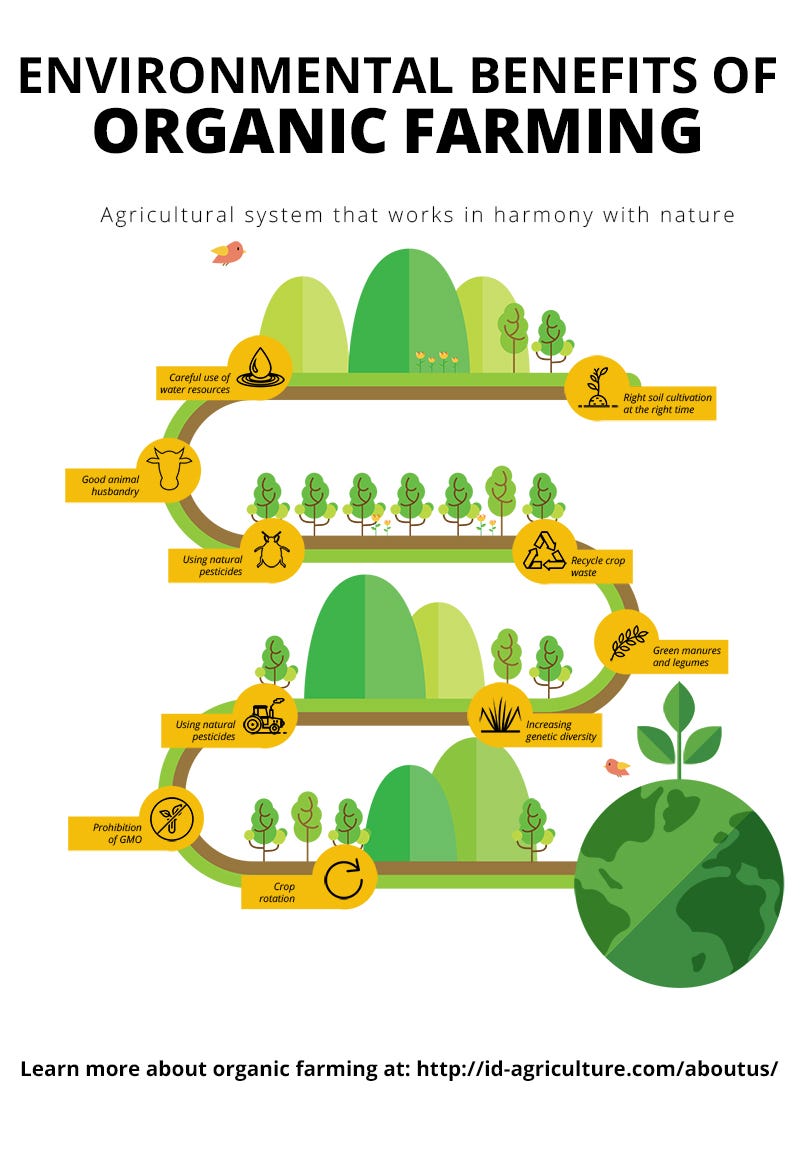 Organic Farming And Its Benefits Organic Farming Produces Food While By Seetree Ai Medium