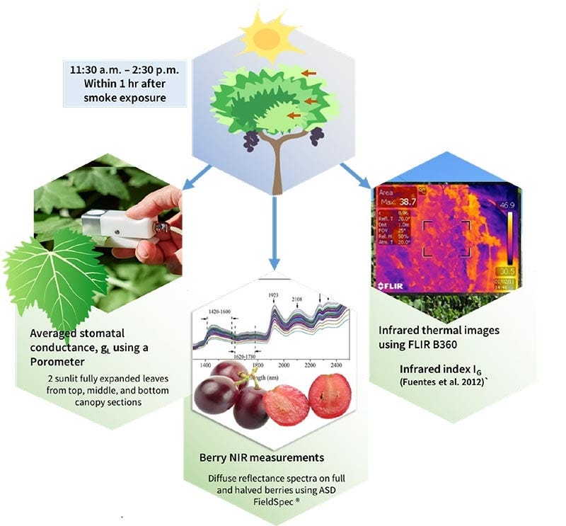 Making Better Beer And Wine With Data And Machine Learning By Mathworks Editor Mathworks Medium