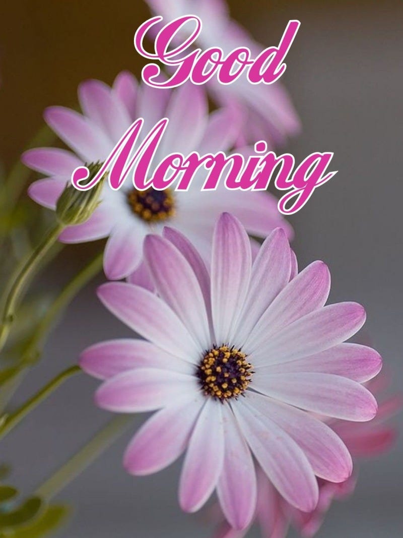 10 Best Good Morning Messages for Friends And Wishes | by Umesh Kumar ...