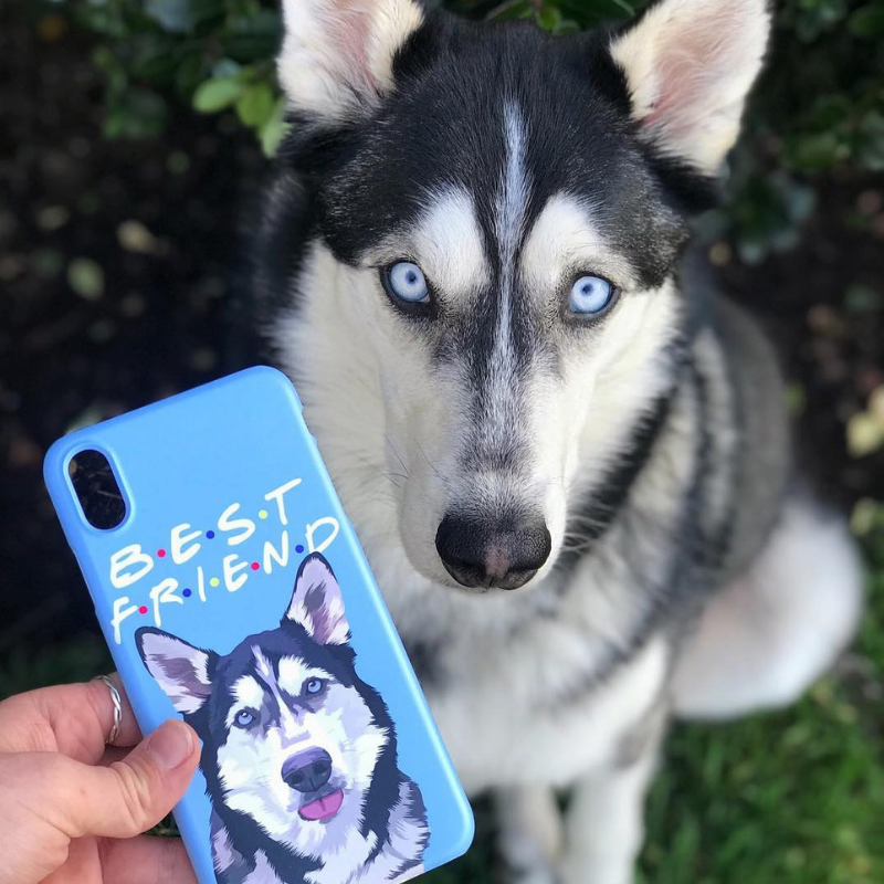 pet canva discount