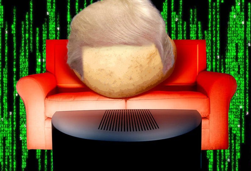 A potato resting on a couch, with a TV set looming in the foreground. The background has been replaced with the Matrix ‘waterfall’ graphic. The potato is wearing a Trump wig. Image: Ian Burt (modified) https://www.flickr.com/photos/oddsock/267206444 CC BY: https://creativecommons.org/licenses/by/2.0/