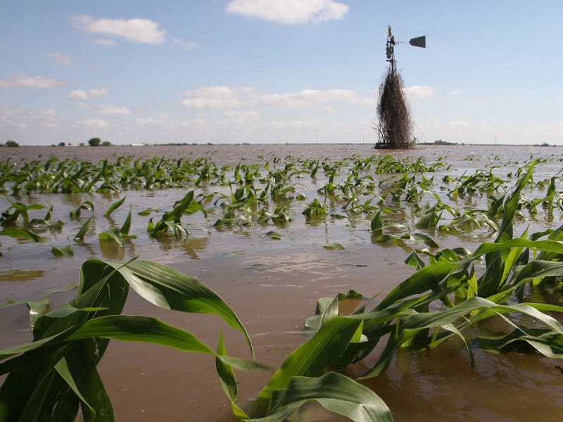 FloodAlertNigeria Effect of Flooding on Agricultural Production — By