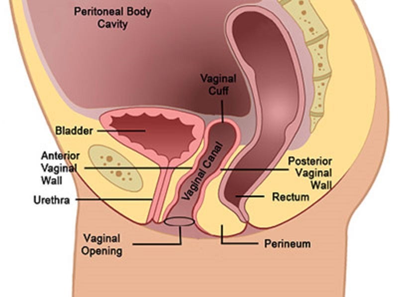 pain vagina Deep in