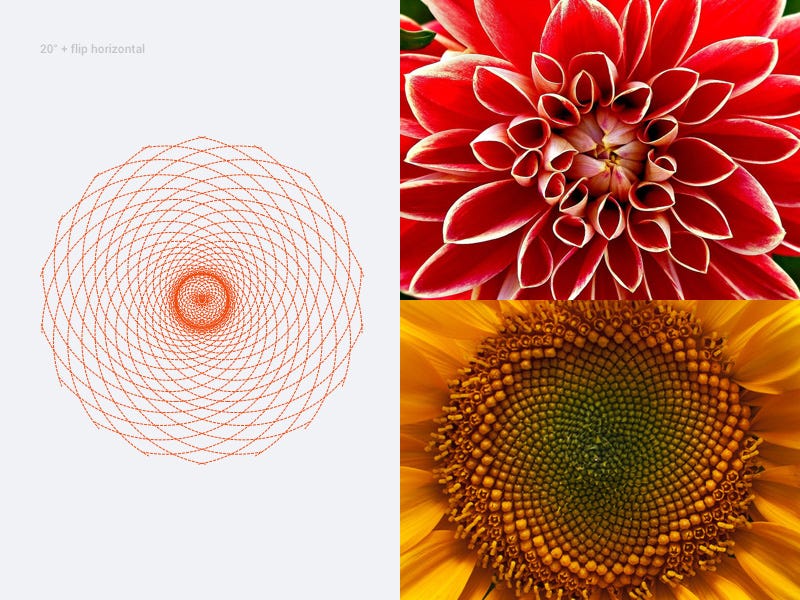 Golden Ratio In Ui Design Golden Ratio Is Of Great Importance By Mariya Tereshkova Prototypr