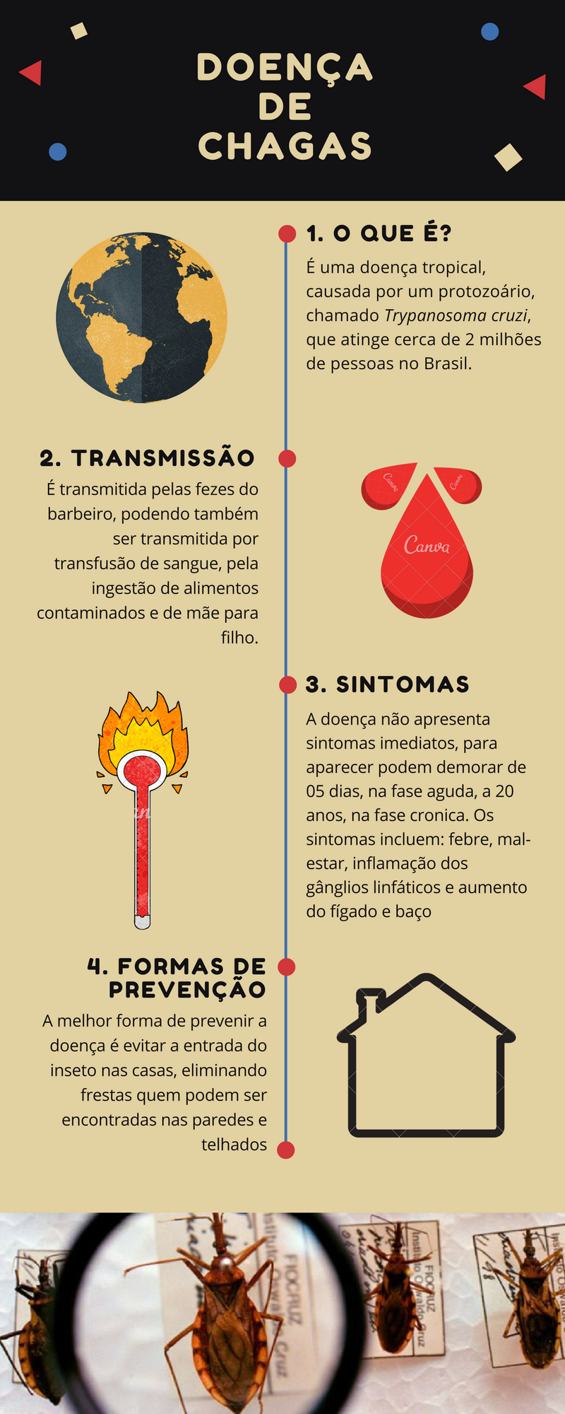 Com Relação A Doença De Chagas Indique
